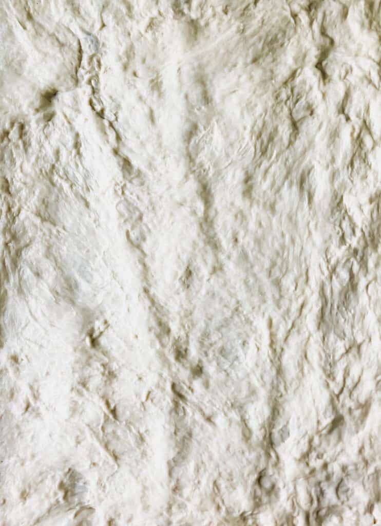 raw no knead pan pizza dough